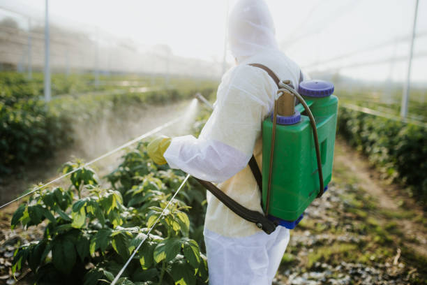 Best Pest Inspection Near Me  in La Palma, CA